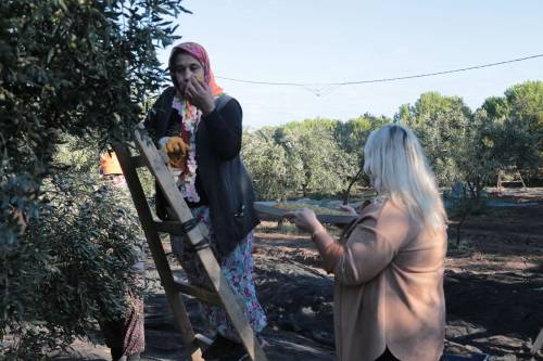 Haber Resim Galeri