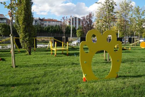 Haber Resim Galeri