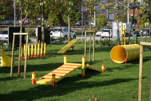 Haber Resim Galeri