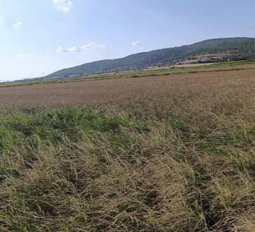 Haber Resim Galeri