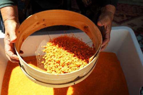 Haber Resim Galeri