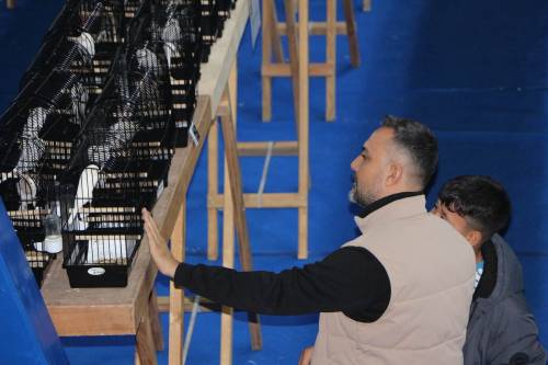 Haber Resim Galeri