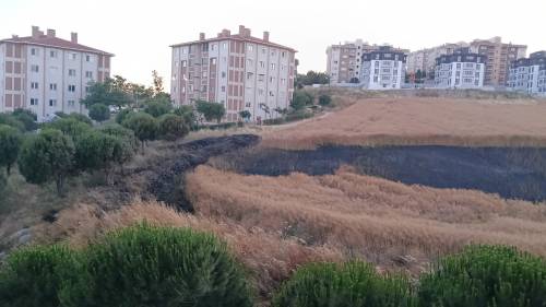 Haber Resim Galeri
