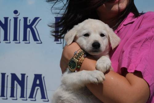 Haber Resim Galeri