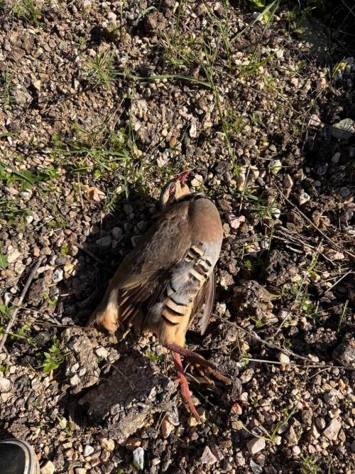 Haber Resim Galeri Haber Resim Galeri