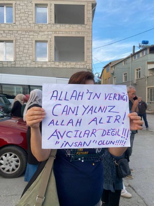 Haber Resim Galeri Haber Resim Galeri