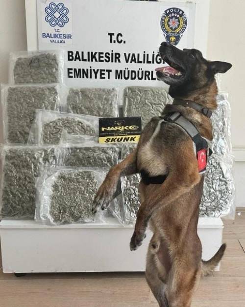Haber Resim Galeri