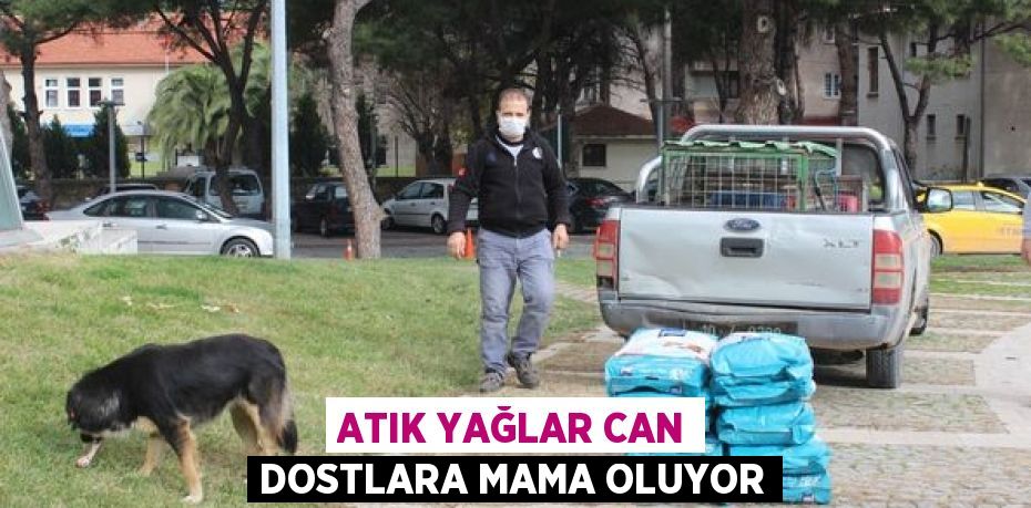 ATIK YAĞLAR CAN DOSTLARA MAMA OLUYOR