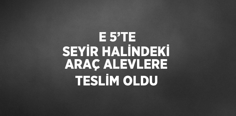 E 5’TE SEYİR HALİNDEKİ ARAÇ ALEVLERE TESLİM OLDU