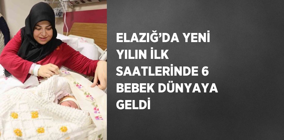 ELAZIĞ’DA YENİ YILIN İLK SAATLERİNDE 6 BEBEK DÜNYAYA GELDİ