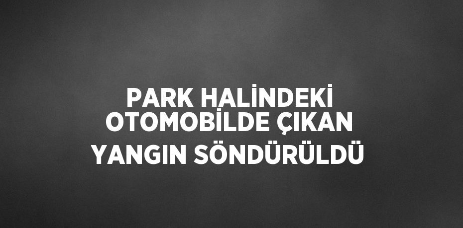 PARK HALİNDEKİ OTOMOBİLDE ÇIKAN YANGIN SÖNDÜRÜLDÜ