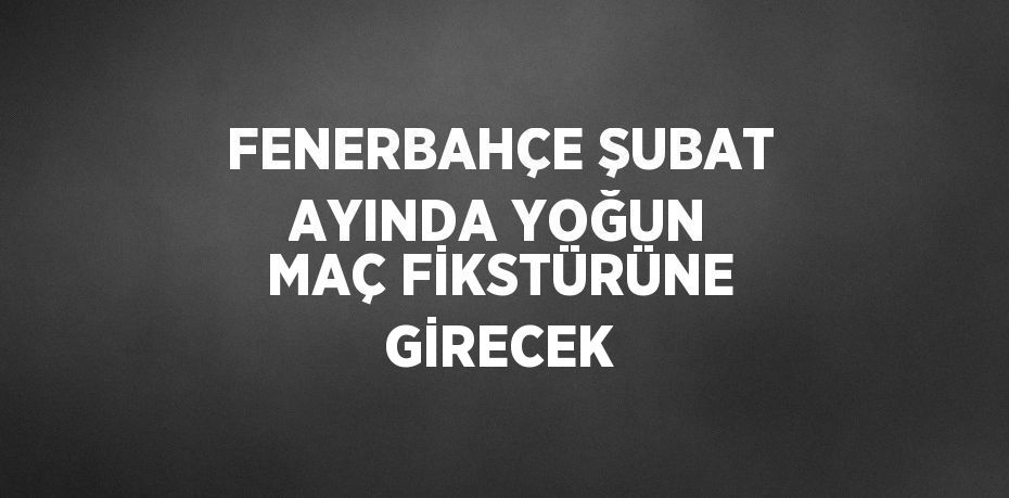 FENERBAHÇE ŞUBAT AYINDA YOĞUN MAÇ FİKSTÜRÜNE GİRECEK