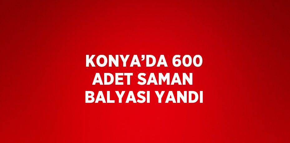 KONYA’DA 600 ADET SAMAN BALYASI YANDI