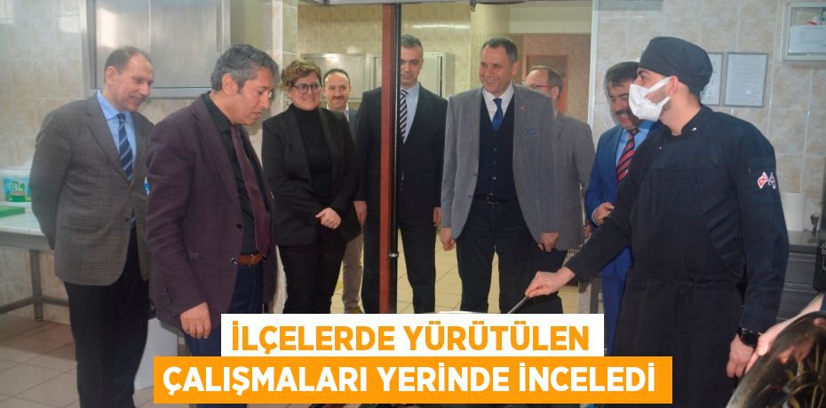 İLÇELERDE YÜRÜTÜLEN ÇALIŞMALARI YERİNDE İNCELEDİ