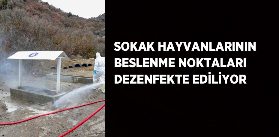 SOKAK HAYVANLARININ BESLENME NOKTALARI DEZENFEKTE EDİLİYOR