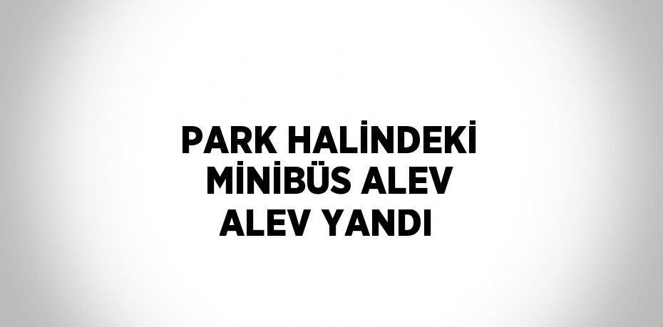 PARK HALİNDEKİ MİNİBÜS ALEV ALEV YANDI