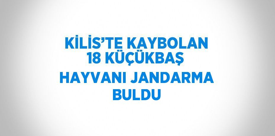 KİLİS’TE KAYBOLAN 18 KÜÇÜKBAŞ HAYVANI JANDARMA BULDU