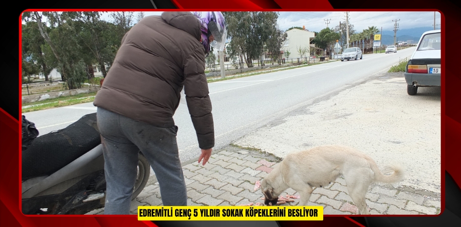 Edremitli genç 5 yıldır sokak köpeklerini besliyor  