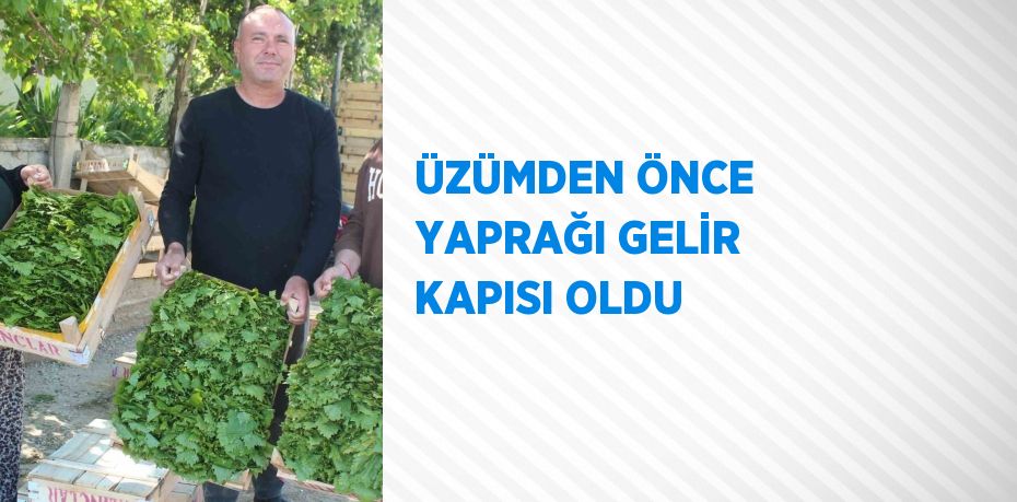 ÜZÜMDEN ÖNCE YAPRAĞI GELİR KAPISI OLDU