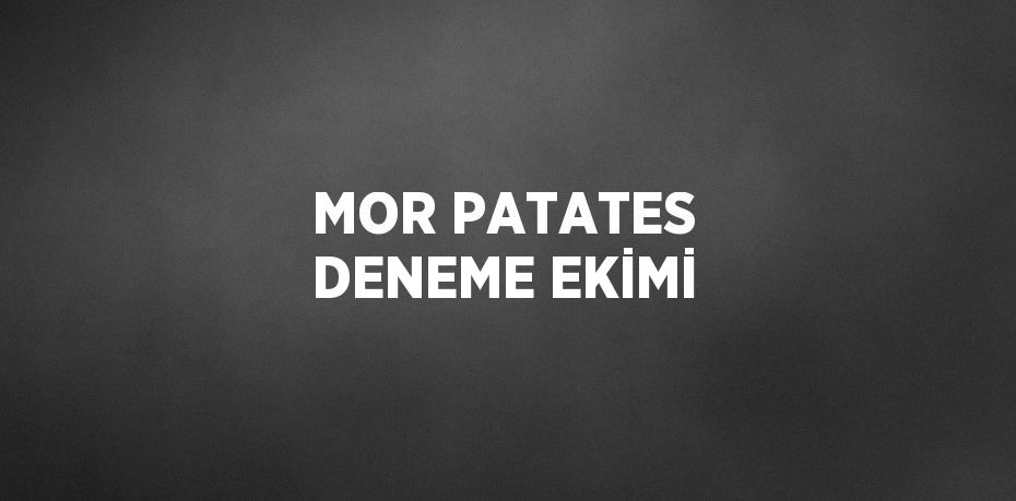 MOR PATATES DENEME EKİMİ