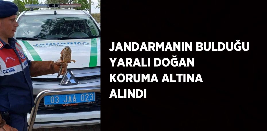 JANDARMANIN BULDUĞU YARALI DOĞAN KORUMA ALTINA ALINDI