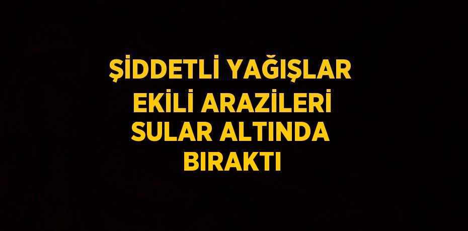 ŞİDDETLİ YAĞIŞLAR EKİLİ ARAZİLERİ SULAR ALTINDA BIRAKTI