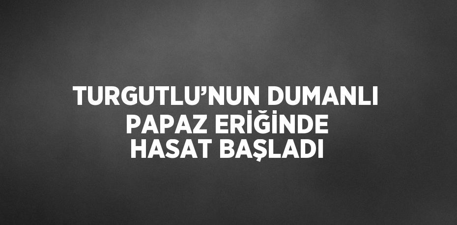 TURGUTLU’NUN DUMANLI PAPAZ ERİĞİNDE HASAT BAŞLADI