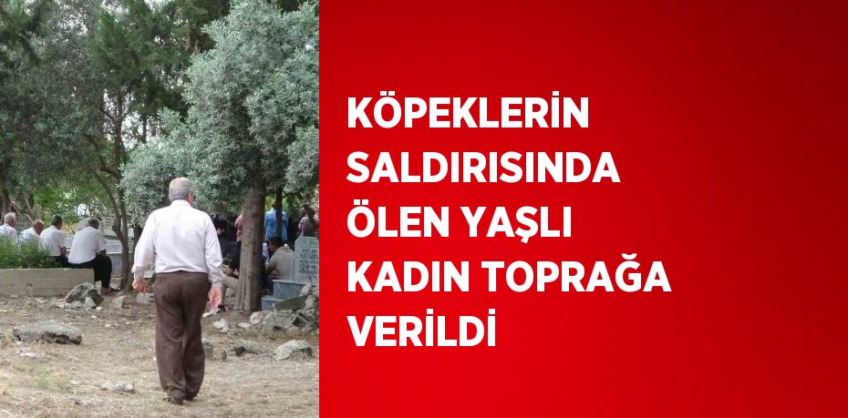 KÖPEKLERİN SALDIRISINDA ÖLEN YAŞLI KADIN TOPRAĞA VERİLDİ