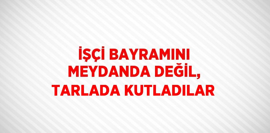 İŞÇİ BAYRAMINI MEYDANDA DEĞİL, TARLADA KUTLADILAR