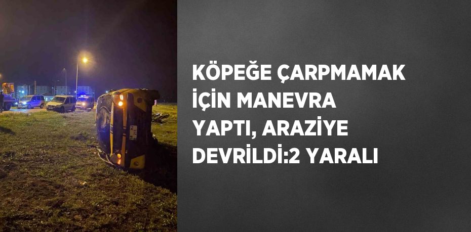 KÖPEĞE ÇARPMAMAK İÇİN MANEVRA YAPTI, ARAZİYE DEVRİLDİ:2 YARALI