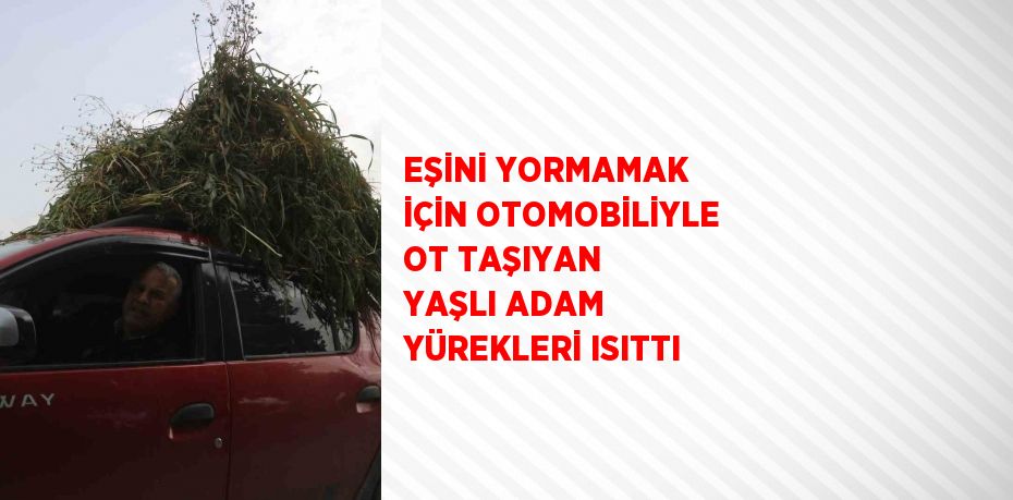 EŞİNİ YORMAMAK İÇİN OTOMOBİLİYLE OT TAŞIYAN YAŞLI ADAM YÜREKLERİ ISITTI