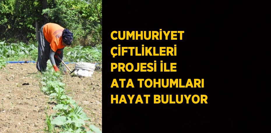 CUMHURİYET ÇİFTLİKLERİ PROJESİ İLE ATA TOHUMLARI HAYAT BULUYOR