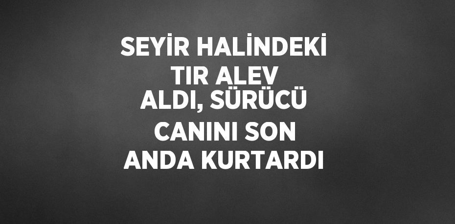 SEYİR HALİNDEKİ TIR ALEV ALDI, SÜRÜCÜ CANINI SON ANDA KURTARDI