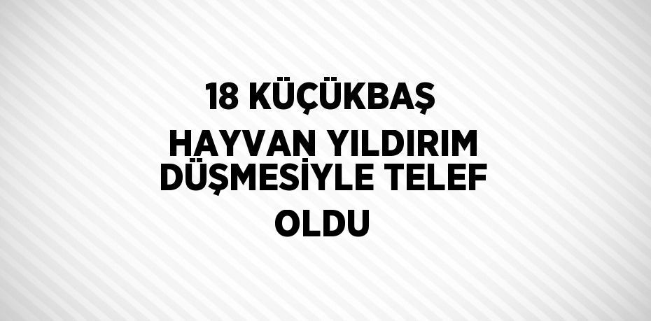 18 KÜÇÜKBAŞ HAYVAN YILDIRIM DÜŞMESİYLE TELEF OLDU