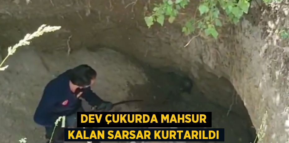 DEV ÇUKURDA MAHSUR KALAN SARSAR KURTARILDI