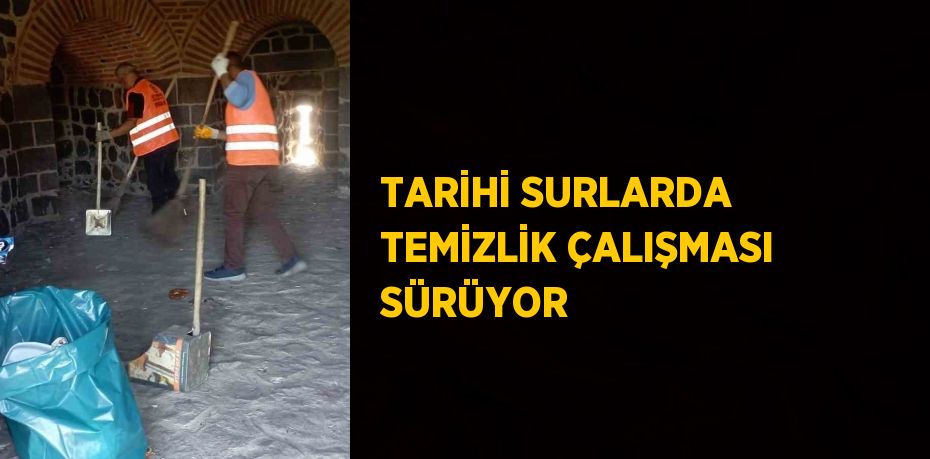 TARİHİ SURLARDA TEMİZLİK ÇALIŞMASI SÜRÜYOR