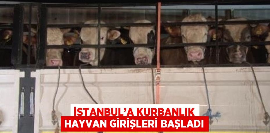 İSTANBUL’A KURBANLIK HAYVAN GİRİŞLERİ BAŞLADI