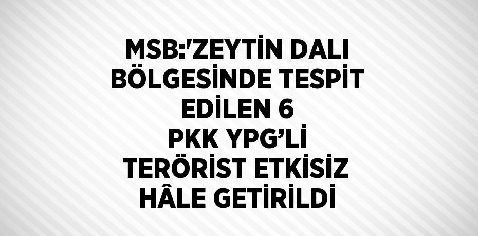 MSB:'ZEYTİN DALI BÖLGESİNDE TESPİT EDİLEN 6 PKK YPG’Lİ TERÖRİST ETKİSİZ HÂLE GETİRİLDİ