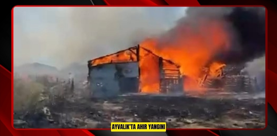 Ayvalık'ta ahır yangını