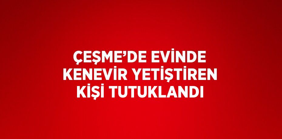 ÇEŞME’DE EVİNDE KENEVİR YETİŞTİREN KİŞİ TUTUKLANDI