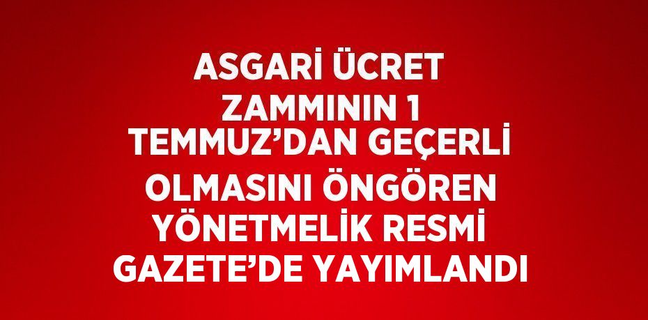 ASGARİ ÜCRET ZAMMININ 1 TEMMUZ’DAN GEÇERLİ OLMASINI ÖNGÖREN YÖNETMELİK RESMİ GAZETE’DE YAYIMLANDI