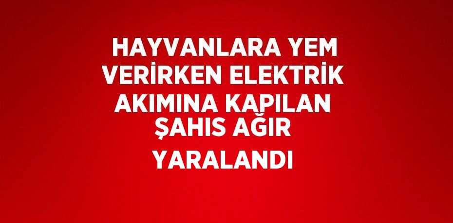 HAYVANLARA YEM VERİRKEN ELEKTRİK AKIMINA KAPILAN ŞAHIS AĞIR YARALANDI