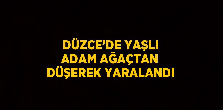 DÜZCE’DE YAŞLI ADAM AĞAÇTAN DÜŞEREK YARALANDI