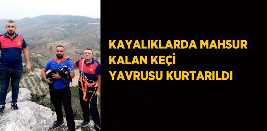 KAYALIKLARDA MAHSUR KALAN KEÇİ YAVRUSU KURTARILDI