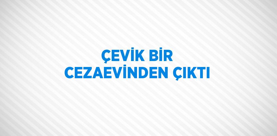 ÇEVİK BİR CEZAEVİNDEN ÇIKTI