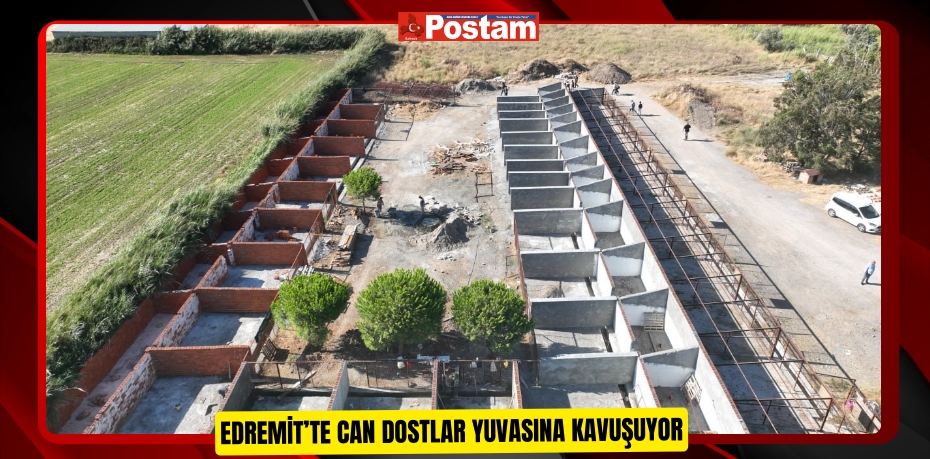 Edremit’te can dostlar yuvasına kavuşuyor