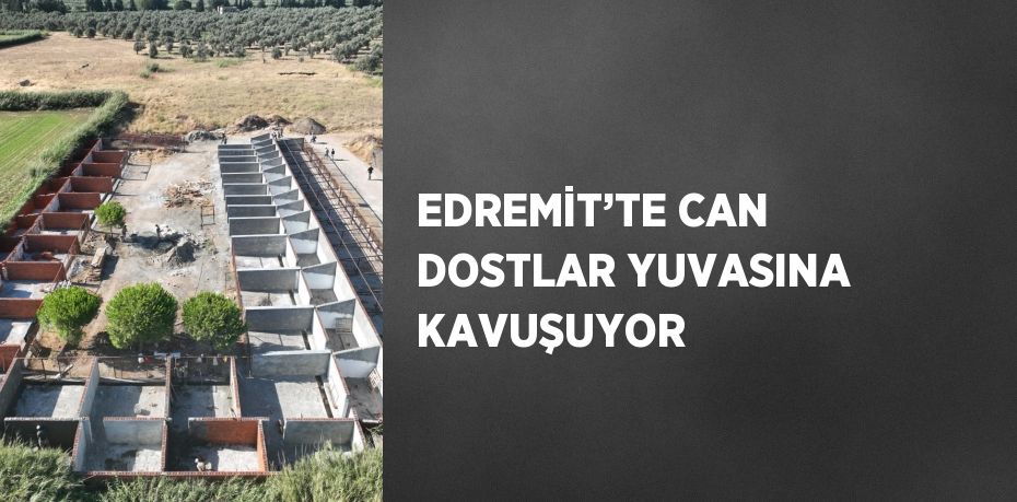 EDREMİT’TE CAN DOSTLAR YUVASINA KAVUŞUYOR