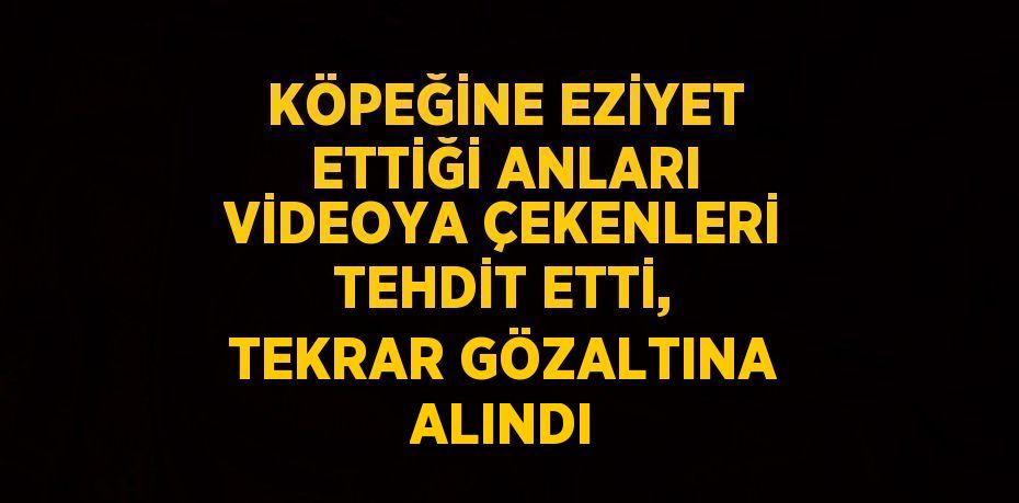 KÖPEĞİNE EZİYET ETTİĞİ ANLARI VİDEOYA ÇEKENLERİ TEHDİT ETTİ, TEKRAR GÖZALTINA ALINDI