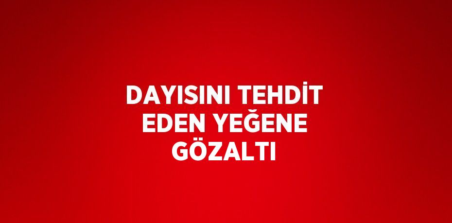 DAYISINI TEHDİT EDEN YEĞENE GÖZALTI