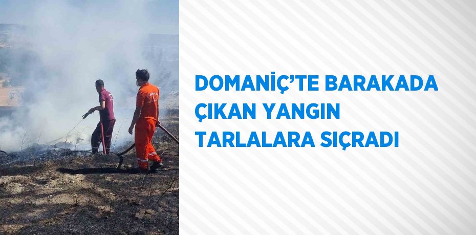 DOMANİÇ’TE BARAKADA ÇIKAN YANGIN TARLALARA SIÇRADI